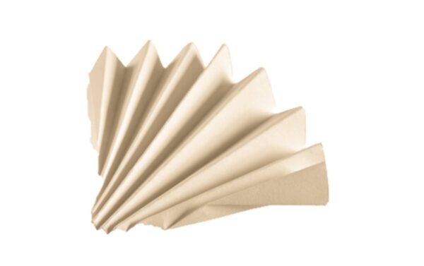 pleated paper filter