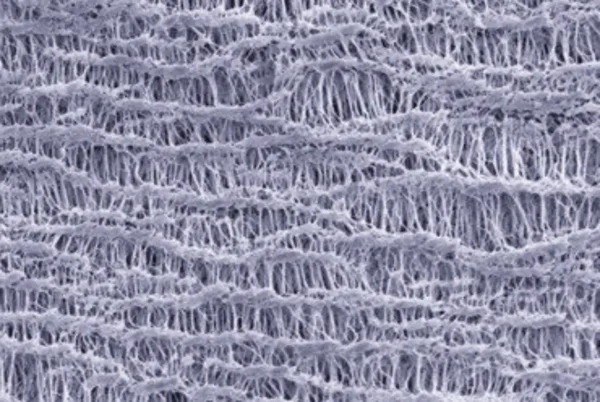 microscopic view of PTFE bag