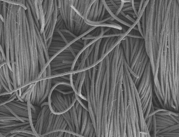 microscopic view nomex or aramid