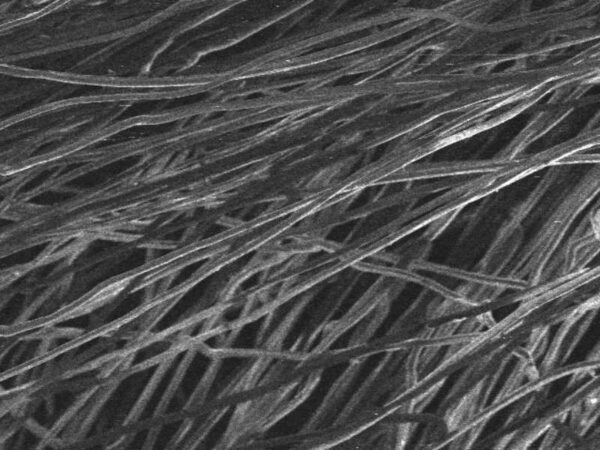 microscopic view of polypropylene fibers inside filter bag