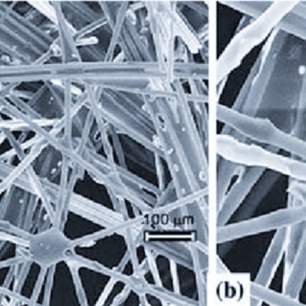 inside the fiberglass