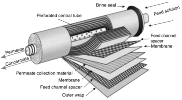anatomy of RO membrane BW