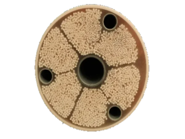 inside of ultra filtration membrane