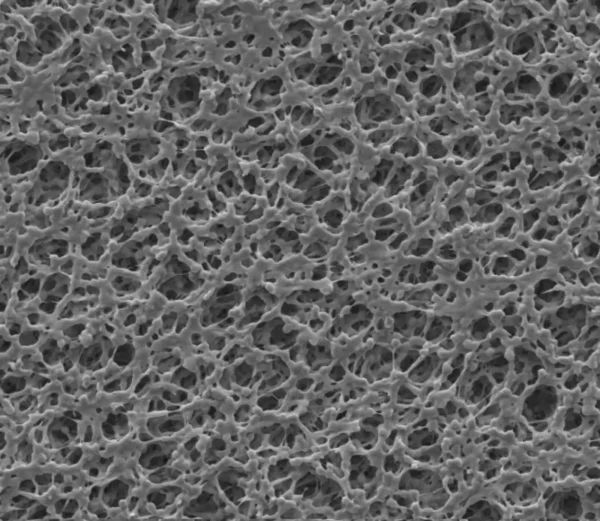 microscope view of pvdf